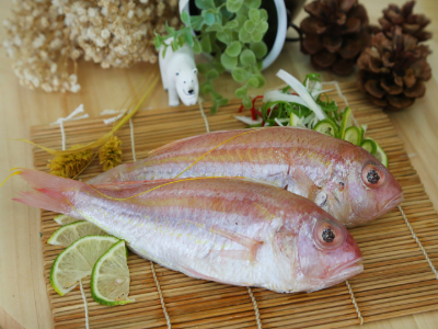 金線魚