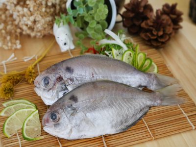肉魚