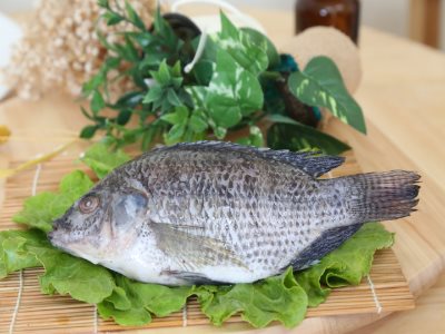 吳郭魚