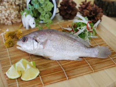 白口魚